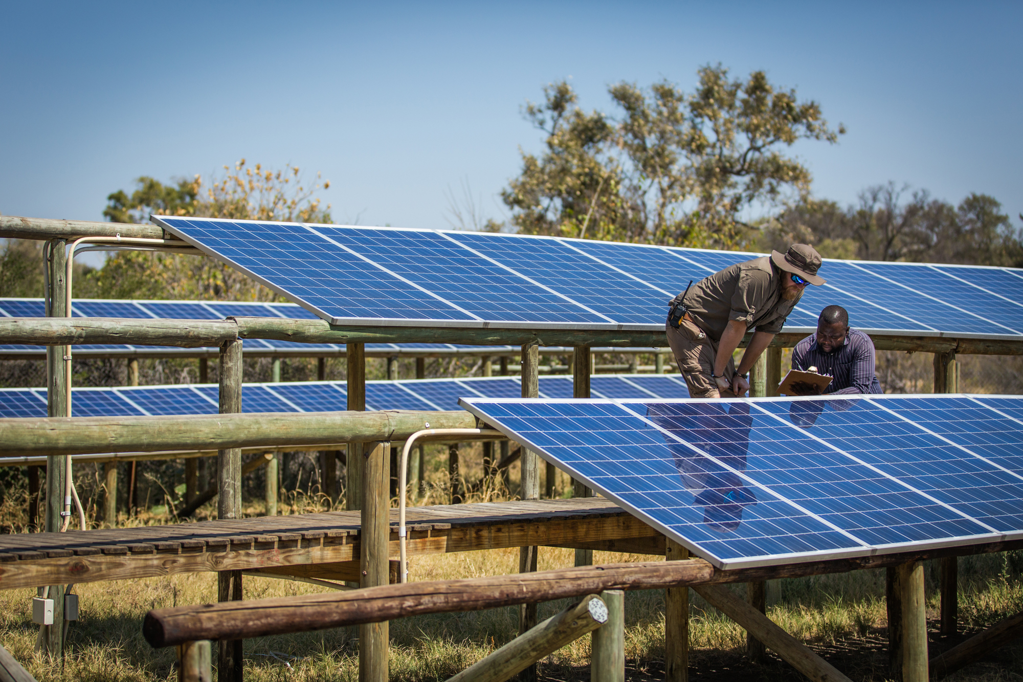 eco-friendly-camps.jpg Eco Friendly Camps