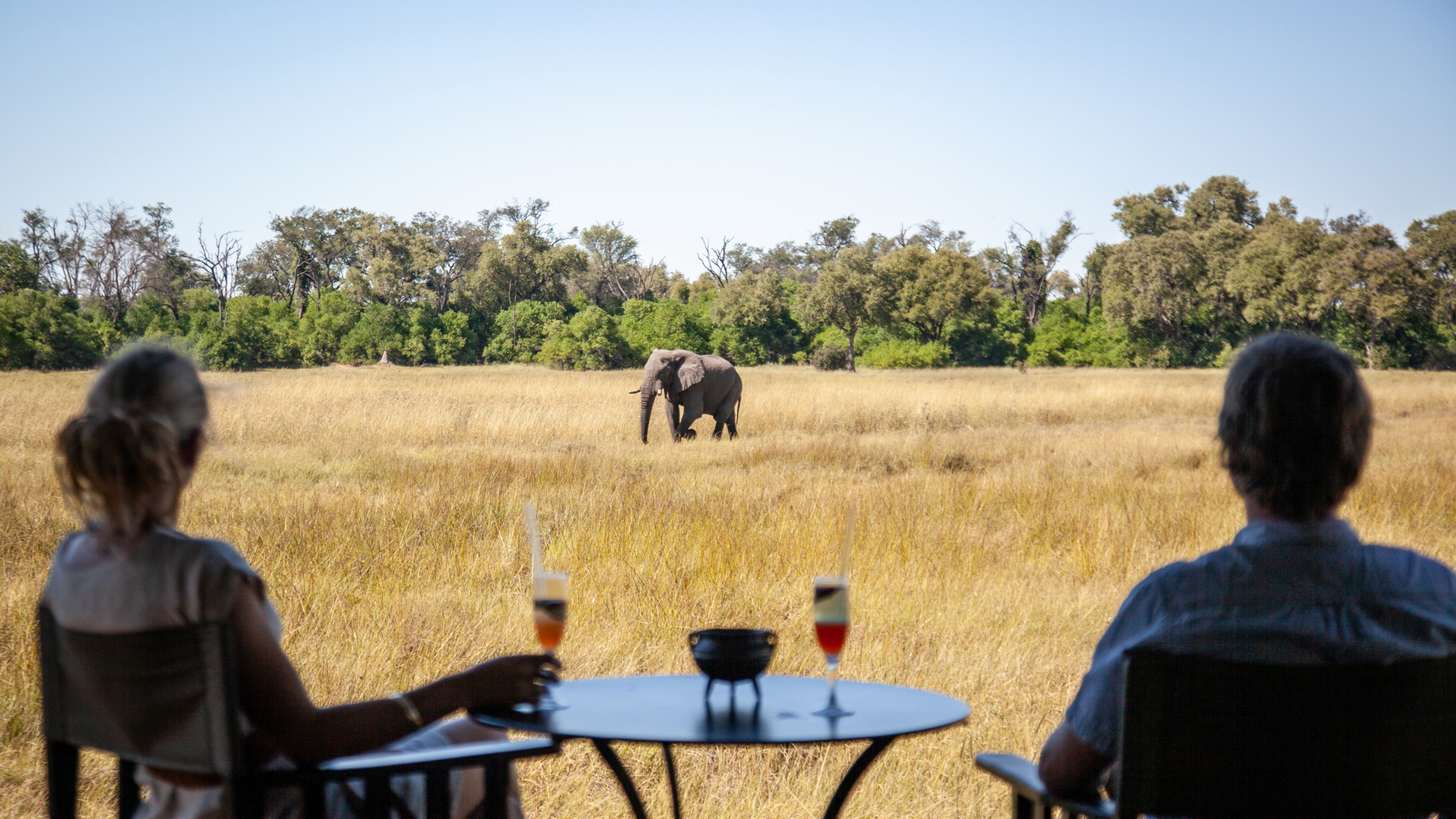 Machaba Little Machaba Accommodation Tent Mvr 006