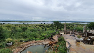 Machaba Botswana Chobe Ngoma Sighting March 2020 Thumbnail