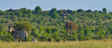 Machaba Botswana Chobe Ngoma Sighting June 2020 Cta Sightings