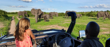 Machaba Botswana Chobe Ngoma Sighting February Cta Sightings