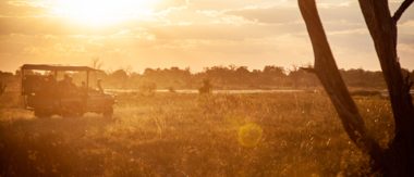 Machaba Botswana Okavango Delta Ngoma Safari Lodge Sightings March 2020 Sunset Safari