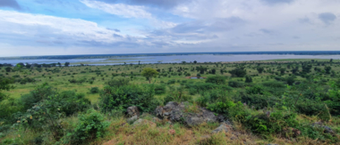 Ngoma April Wildlife Sightings Cta