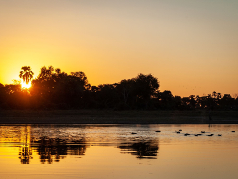 Safari Nala Okavango Delta Sunset