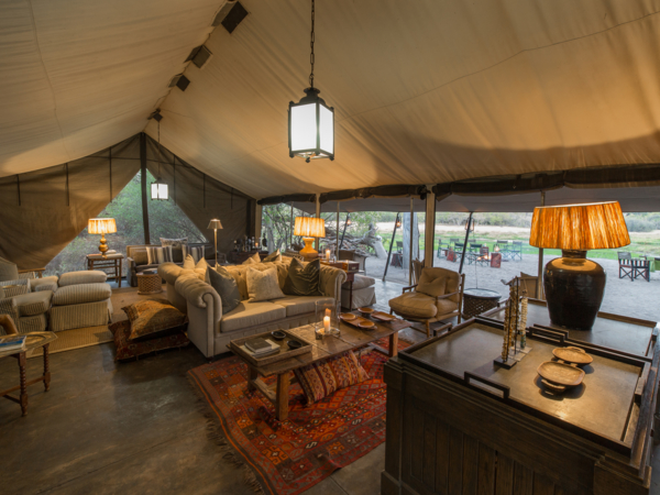 Classic Bots And Zim